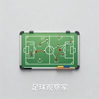 一位中立球迷的头像，用户名为'足球观察家'，头像为足球战术板图案，显示其对战术分析的浓厚兴趣和客观中立的观点。